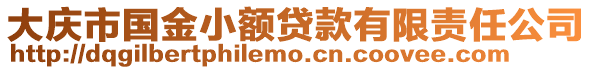 大慶市國金小額貸款有限責任公司