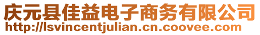 慶元縣佳益電子商務(wù)有限公司