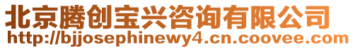 北京騰創寶興咨詢有限公司