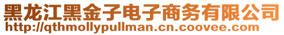 黑龍江黑金子電子商務有限公司