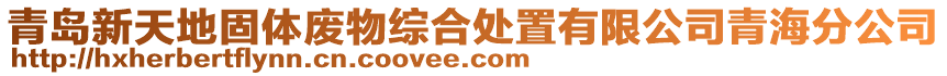青島新天地固體廢物綜合處置有限公司青海分公司