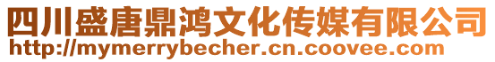 四川盛唐鼎鴻文化傳媒有限公司