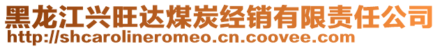 黑龍江興旺達(dá)煤炭經(jīng)銷有限責(zé)任公司