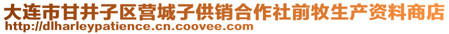 大連市甘井子區(qū)營城子供銷合作社前牧生產(chǎn)資料商店