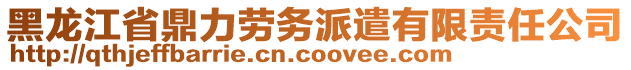 黑龍江省鼎力勞務(wù)派遣有限責(zé)任公司