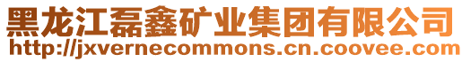 黑龍江磊鑫礦業(yè)集團有限公司