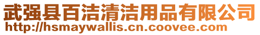 武強縣百潔清潔用品有限公司