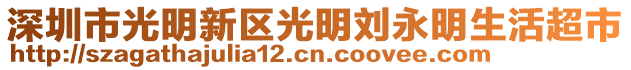 深圳市光明新區光明劉永明生活超市