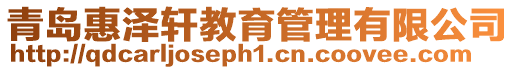 青島惠澤軒教育管理有限公司