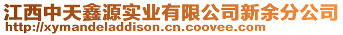 江西中天鑫源實業有限公司新余分公司