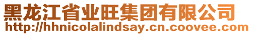 黑龍江省業旺集團有限公司