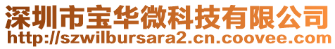 深圳市宝华微科技有限公司