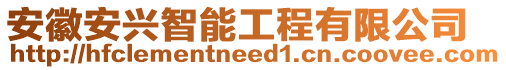 安徽安兴智能工程有限公司