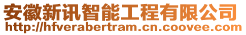 安徽新訊智能工程有限公司