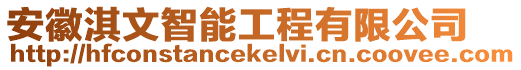 安徽淇文智能工程有限公司