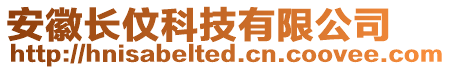 安徽長伩科技有限公司