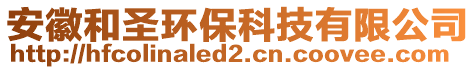 安徽和圣環(huán)保科技有限公司