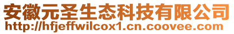 安徽元圣生態科技有限公司