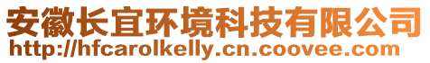 安徽長宜環境科技有限公司
