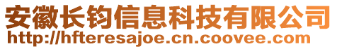 安徽長鈞信息科技有限公司