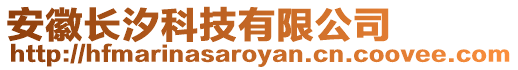 安徽長(zhǎng)汐科技有限公司