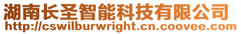 湖南長圣智能科技有限公司