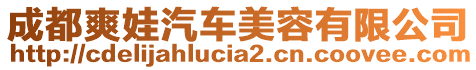 成都爽娃汽車美容有限公司