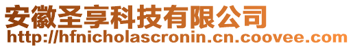 安徽圣享科技有限公司