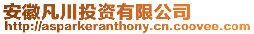安徽凡川投資有限公司