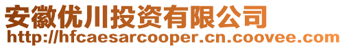 安徽優川投資有限公司