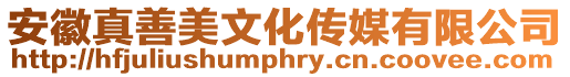 安徽真善美文化傳媒有限公司