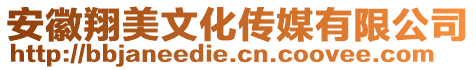 安徽翔美文化傳媒有限公司