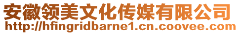 安徽領美文化傳媒有限公司