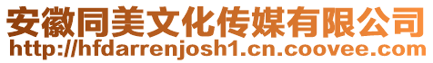安徽同美文化傳媒有限公司