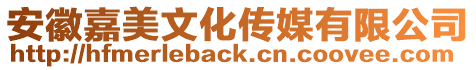 安徽嘉美文化傳媒有限公司
