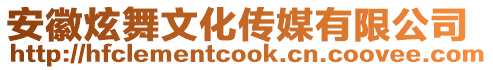 安徽炫舞文化傳媒有限公司