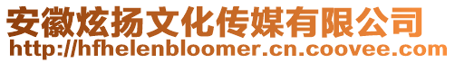 安徽炫揚文化傳媒有限公司