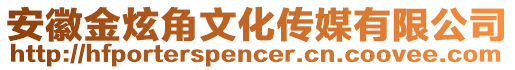 安徽金炫角文化傳媒有限公司