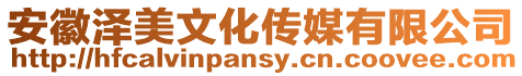 安徽澤美文化傳媒有限公司