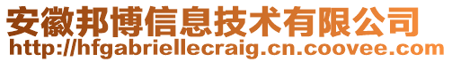 安徽邦博信息技術(shù)有限公司