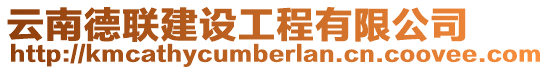 云南德聯(lián)建設工程有限公司