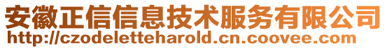 安徽正信信息技術服務有限公司