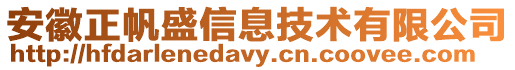 安徽正帆盛信息技術有限公司