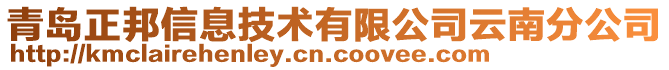 青島正邦信息技術有限公司云南分公司