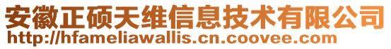 安徽正碩天維信息技術(shù)有限公司