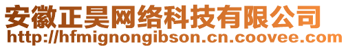 安徽正昊網絡科技有限公司