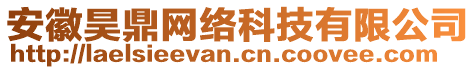 安徽昊鼎網絡科技有限公司