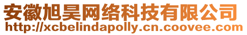 安徽旭昊網絡科技有限公司