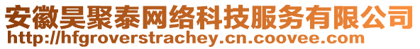 安徽昊聚泰網絡科技服務有限公司