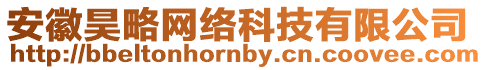 安徽昊略網絡科技有限公司